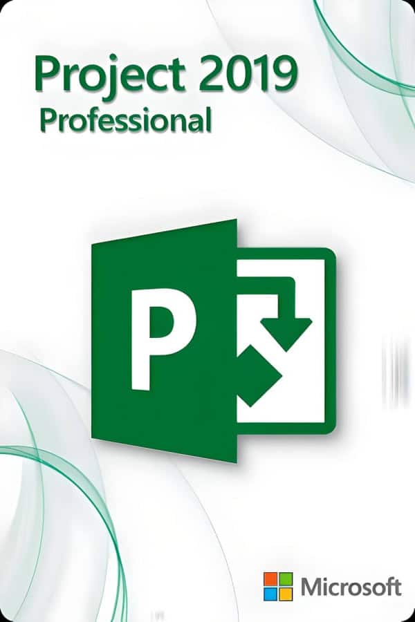 Microsoft Project 2019 Professional for 3 PC
